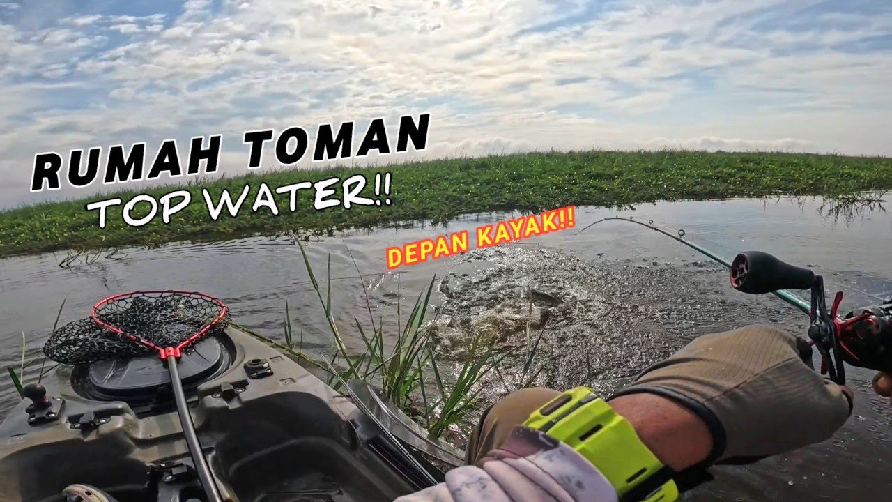 Puas Cari Toman Kali Ni" Semua Balas Top Water!