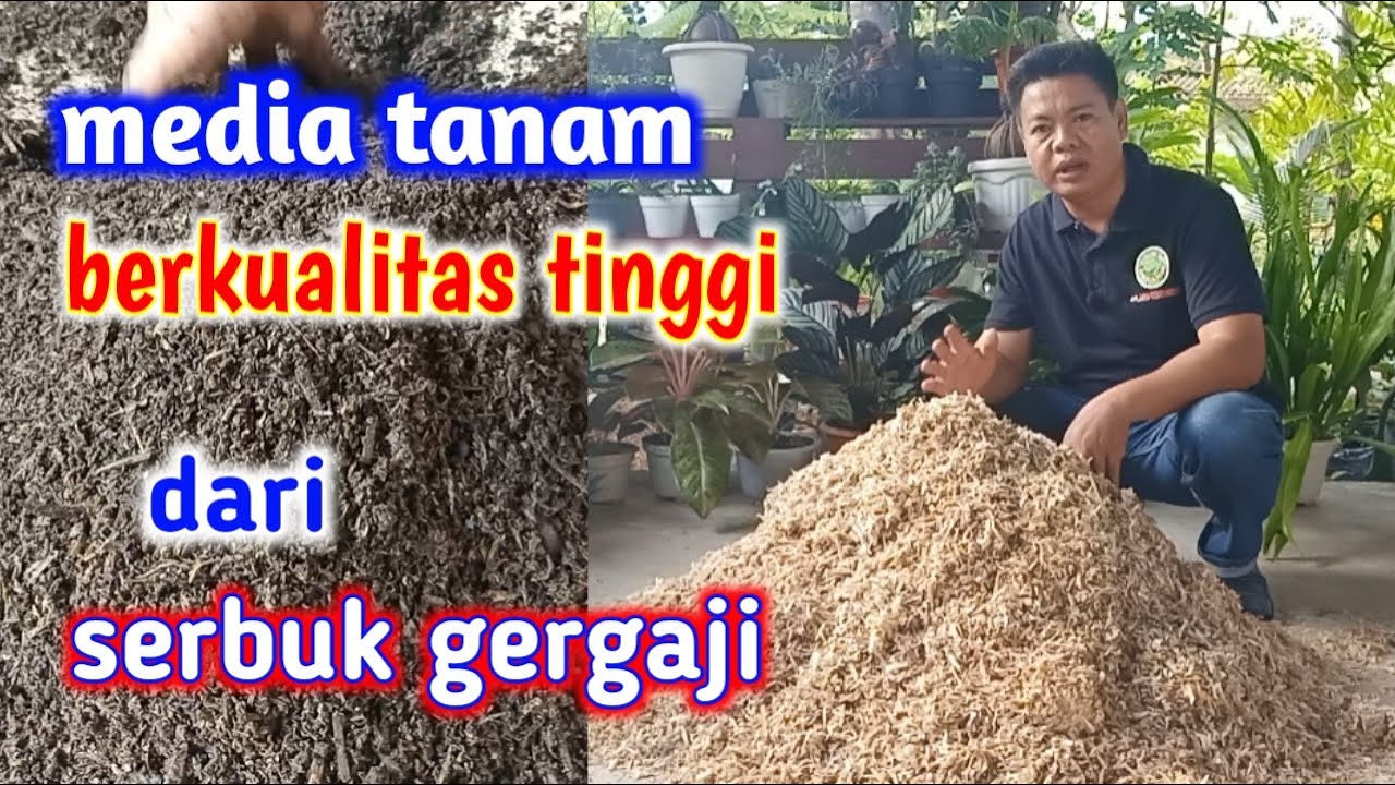 Media Tanam Berkualitas Tinggi Dari Serbuk Gergaji
