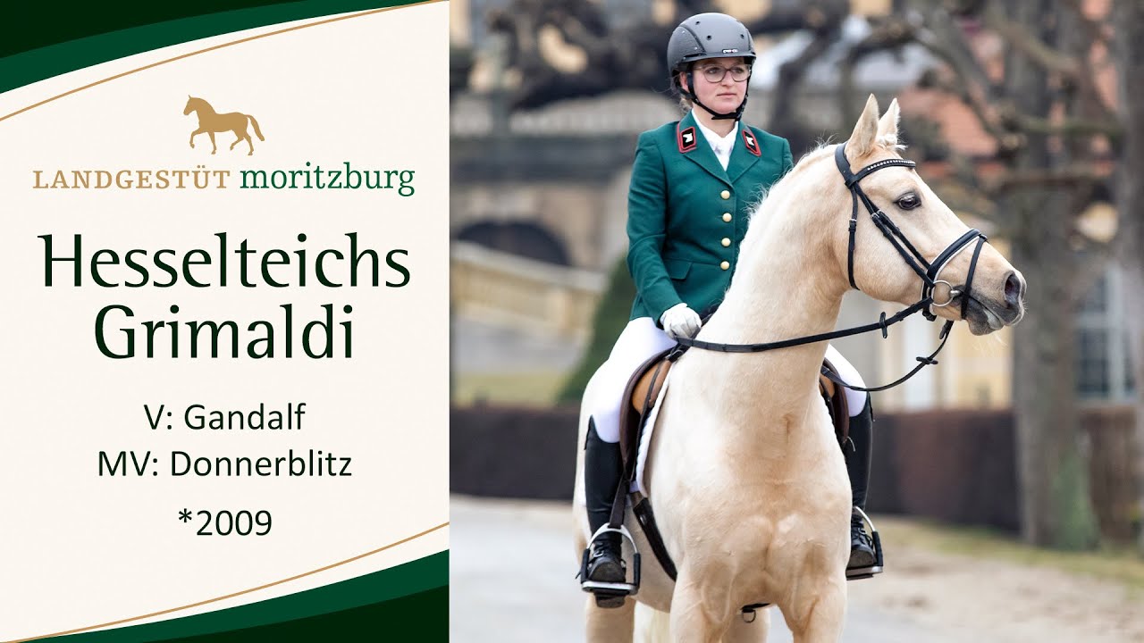 HESSELTEICHS GRIMALDI v. Gandalf - Donnerblitz 2023