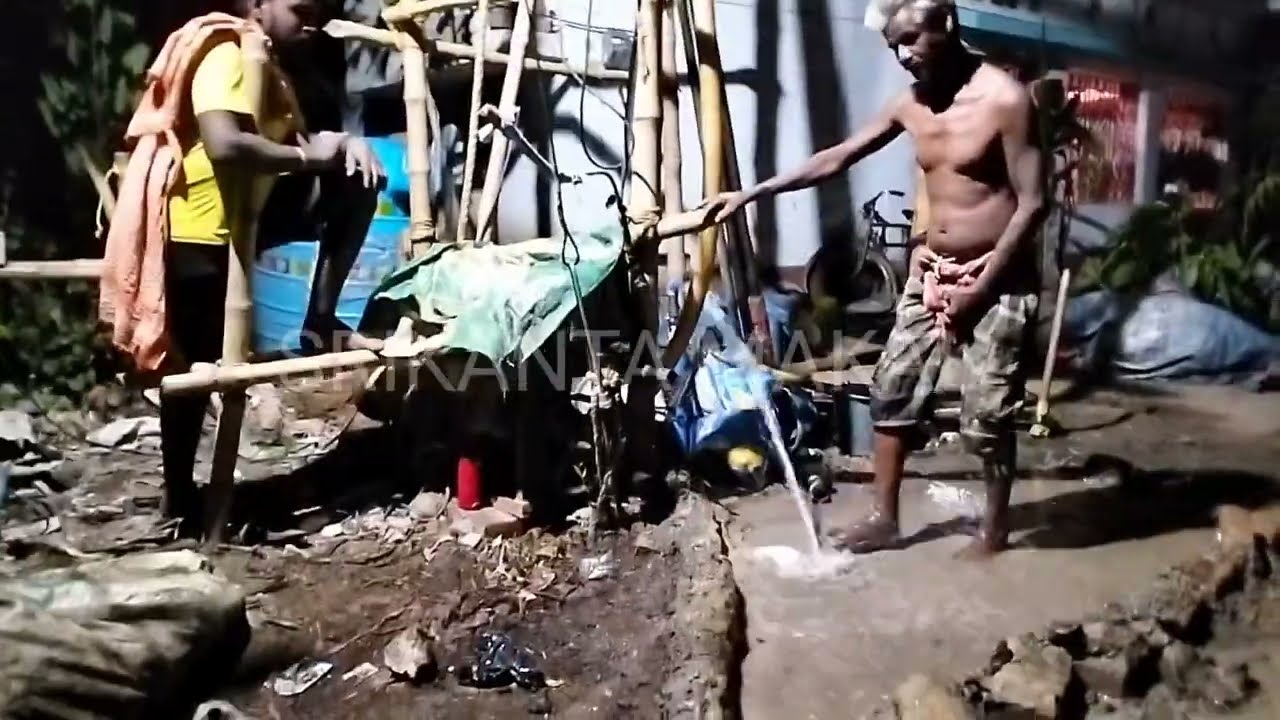Norando Pur 3