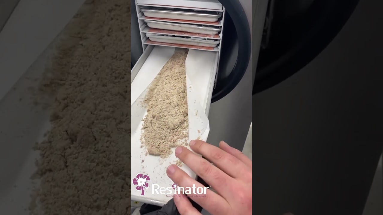 🍁 Live Sift Magic! ✨ Witness the transformation from raw material to high-quality live solventless