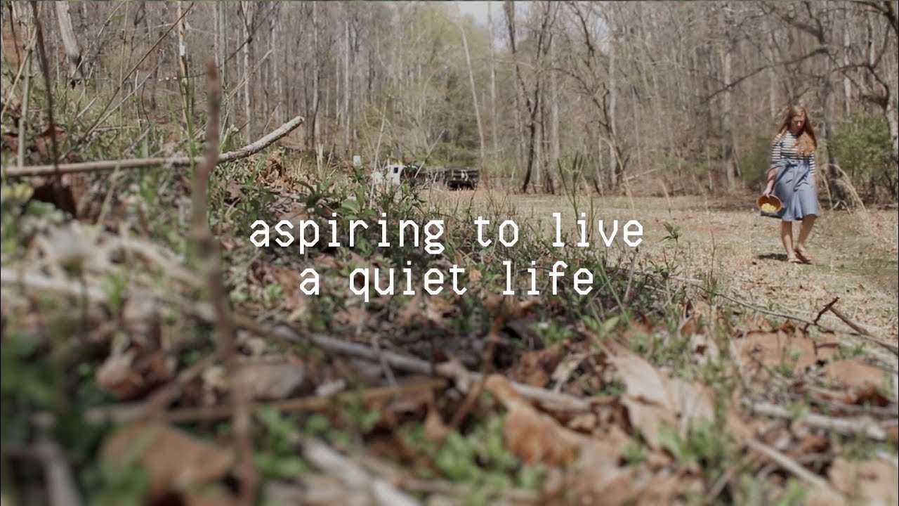 Biblical Homemaking & Aspiring to Live a Quiet Life