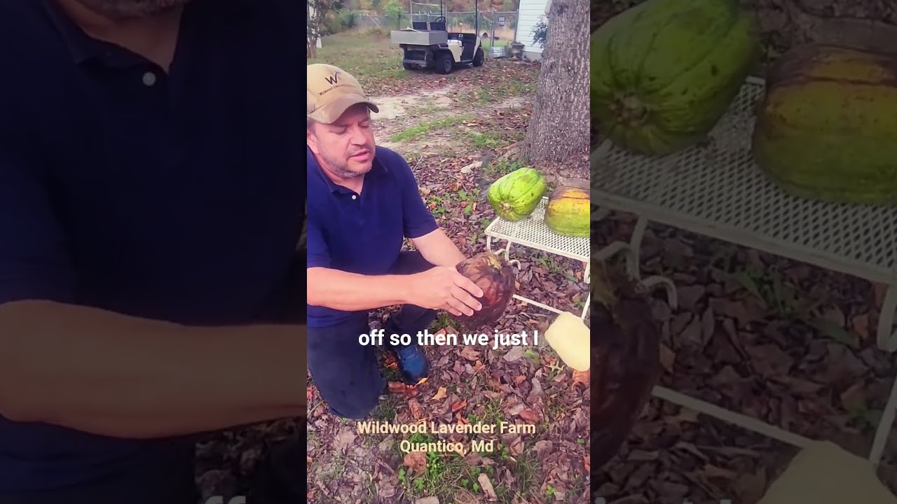 Learn how to process Apple Loofahs.