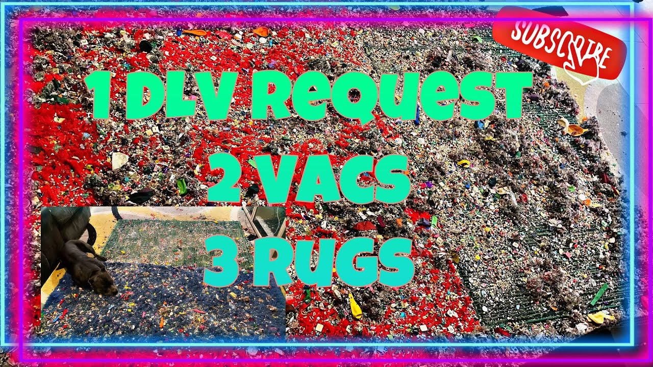 Requested video for @DLVASMR  || 2 mixes ||  Cleanview ~ Vacmaster ~ Double Shark 🦈 clean up