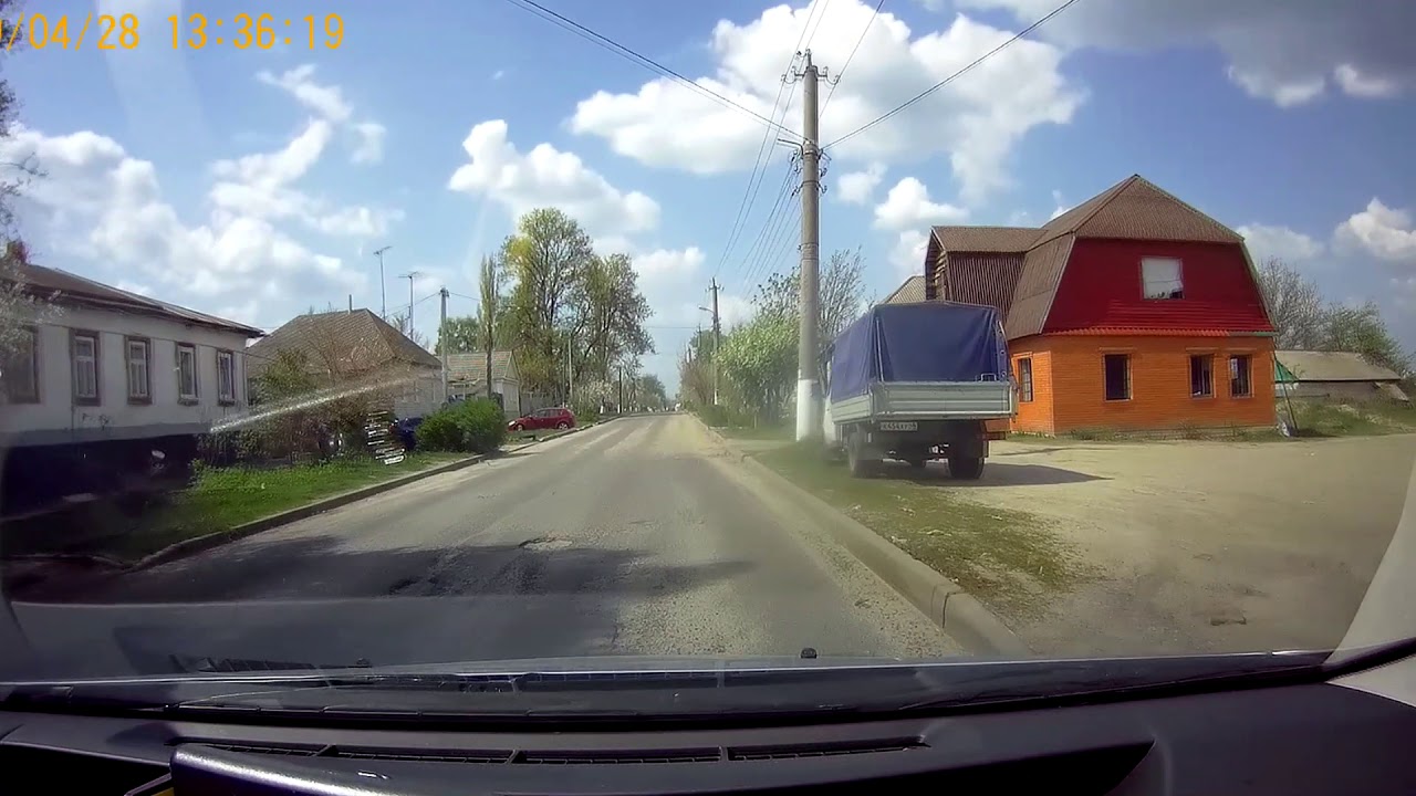 Суджа цветущая, вишнево - тюльпанная!