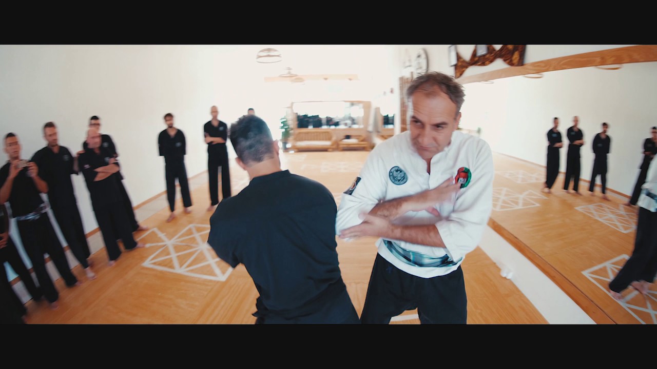 MATJAN ACADEMY - PUKULAN PENTJAK SILAT BUKTI NEGARA Seminar 2016 - Walter van den Broeke