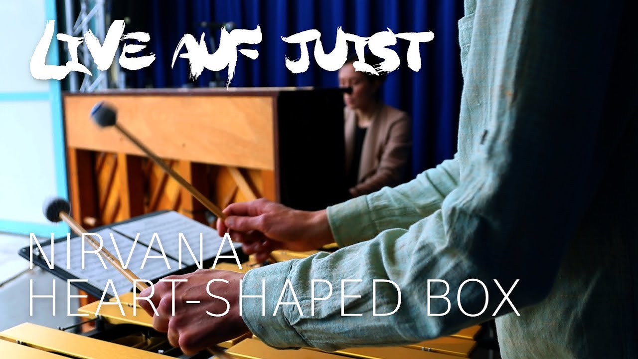 Nirvana - Heart-Shaped Box (Vibraphone & Piano) | DUO KOSHAVA