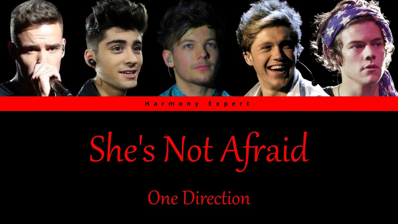 One Direction - She's Not Afraid - Color Coded Lyrics
