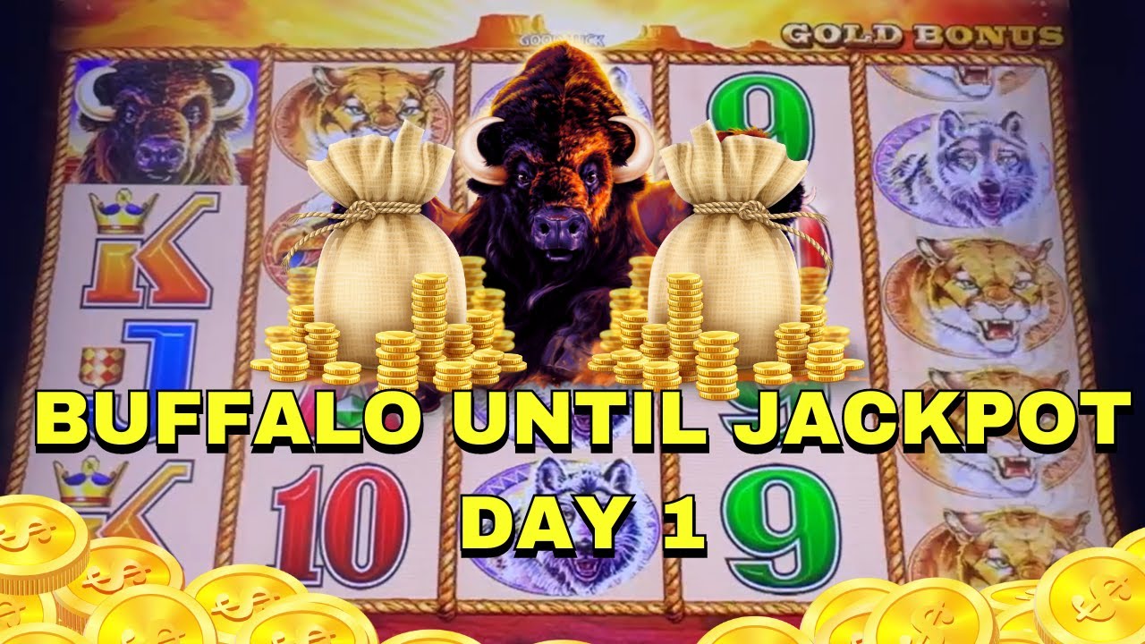 Playing Buffalo Casino games until JACKPOT | BUFFALO UNTIL JACKPOT DAY 1