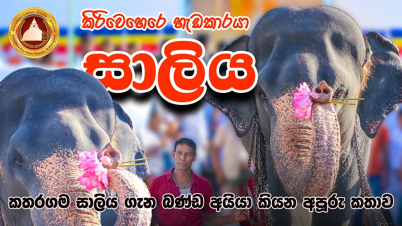 කතරගම හැඩකාරයා සාලිය හස්තියා