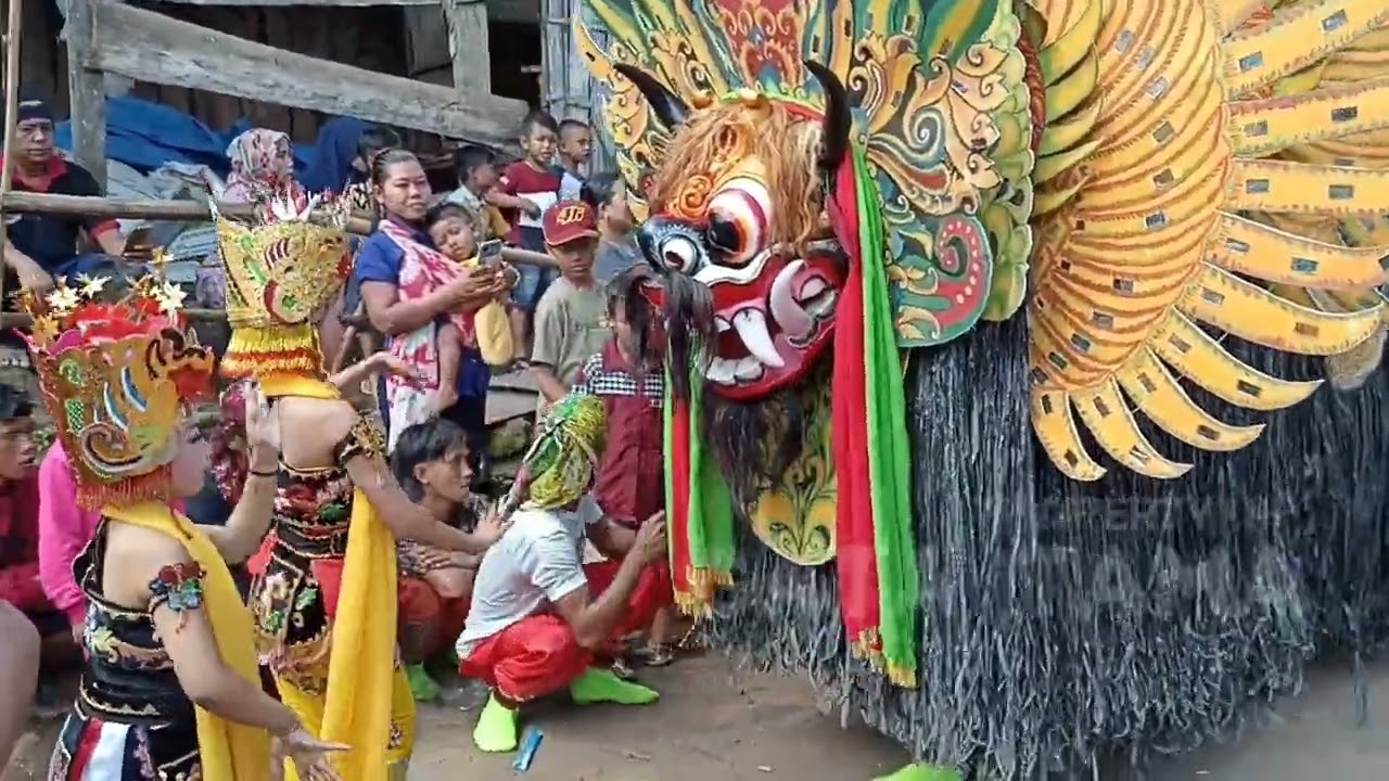 Suun yo yo Suun versi jaranan Pecari Kuning voc mbok Wulan