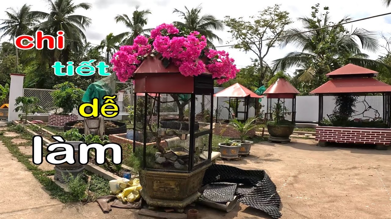 Chi Tiết Làm Aviary Lục Giác Trên Chậu Hoa,Tổng Quan Trại Chăn Nuôi/TYDVTV