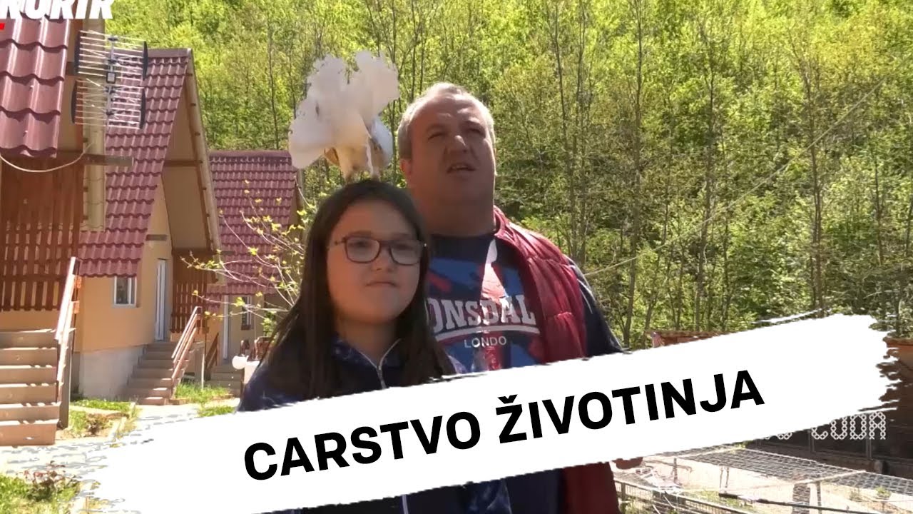 ODREKAO SE SVEGA I IZGRADIO CARSTVO ŽIVOTINJA - 300 Čuda