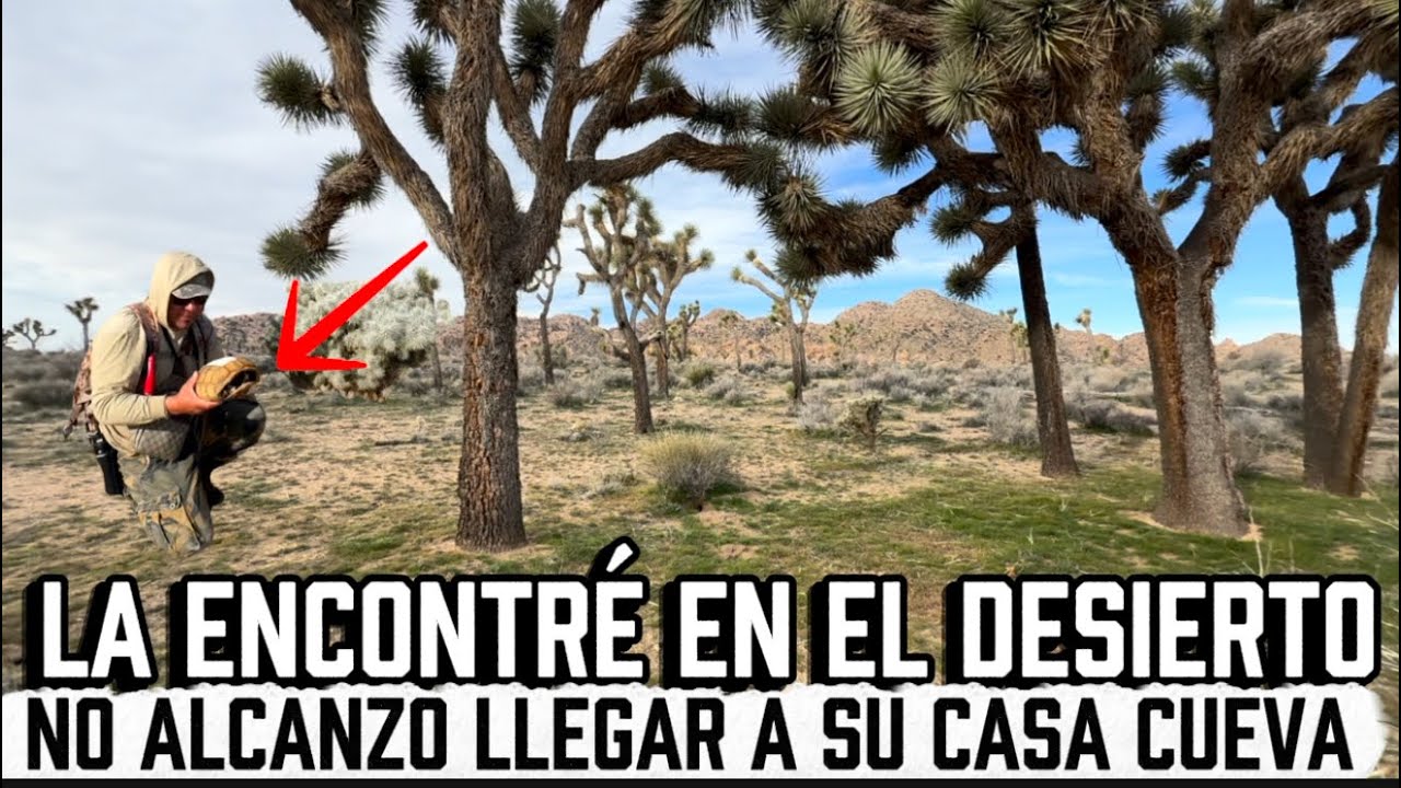 La encontré en el desierto no alcanzo llegar a su casa cueva pobrecita 