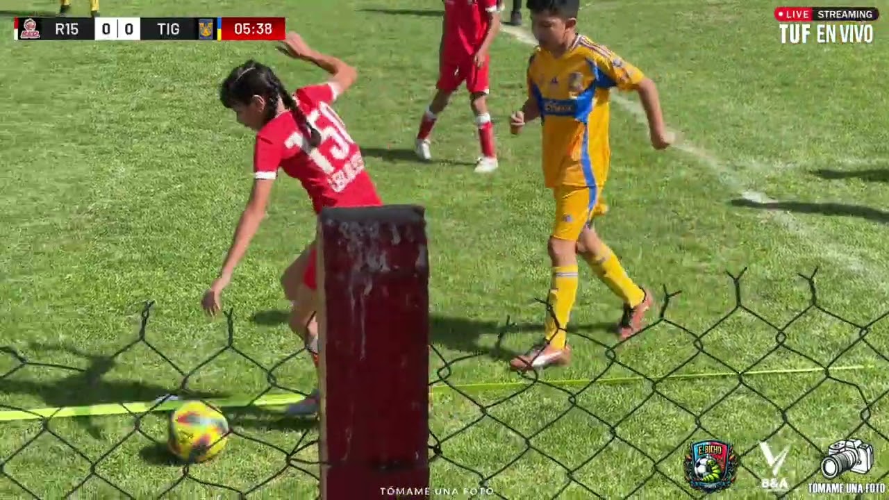 PRODEFUT J4 | RED TOLUCA CHALCO VS TIGRES | CAT 2015 