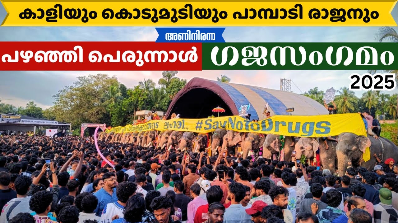Pazhanji palli perunnal 2025|പഴഞ്ഞി ഗജസംഗമം