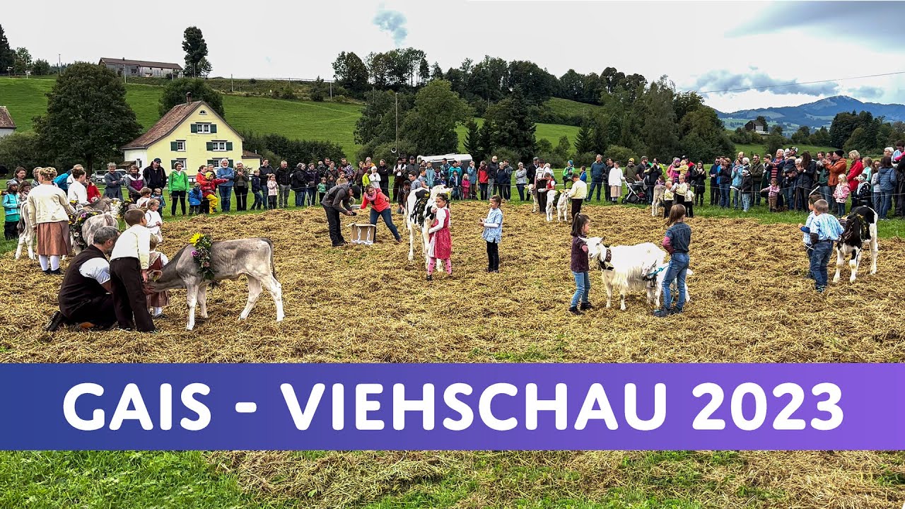 Cattle Show Gais 2023 | Procession – Yodeling – Young Breeders Presentation