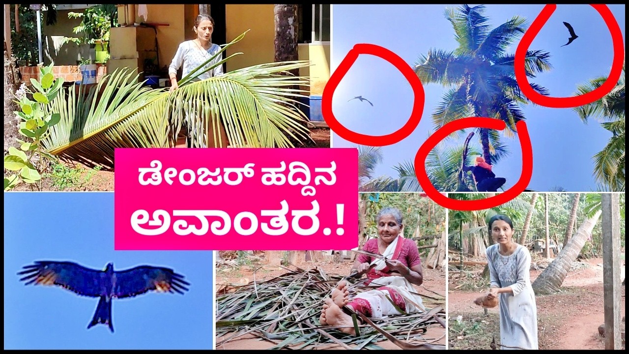 ಹಳ್ಳಿಗಳಲ್ಲಿ ಈ ತರ ಇರೋದಿಲ್ಲ!😳 ತುಂಬಾ ಡೇಂಜರ್ ಹದ್ದಿನ ಅವಾಂತರ!😳 ಫ್ಯಾಮಿಲಿ ಟೈಮ್! Kannada Vlogs