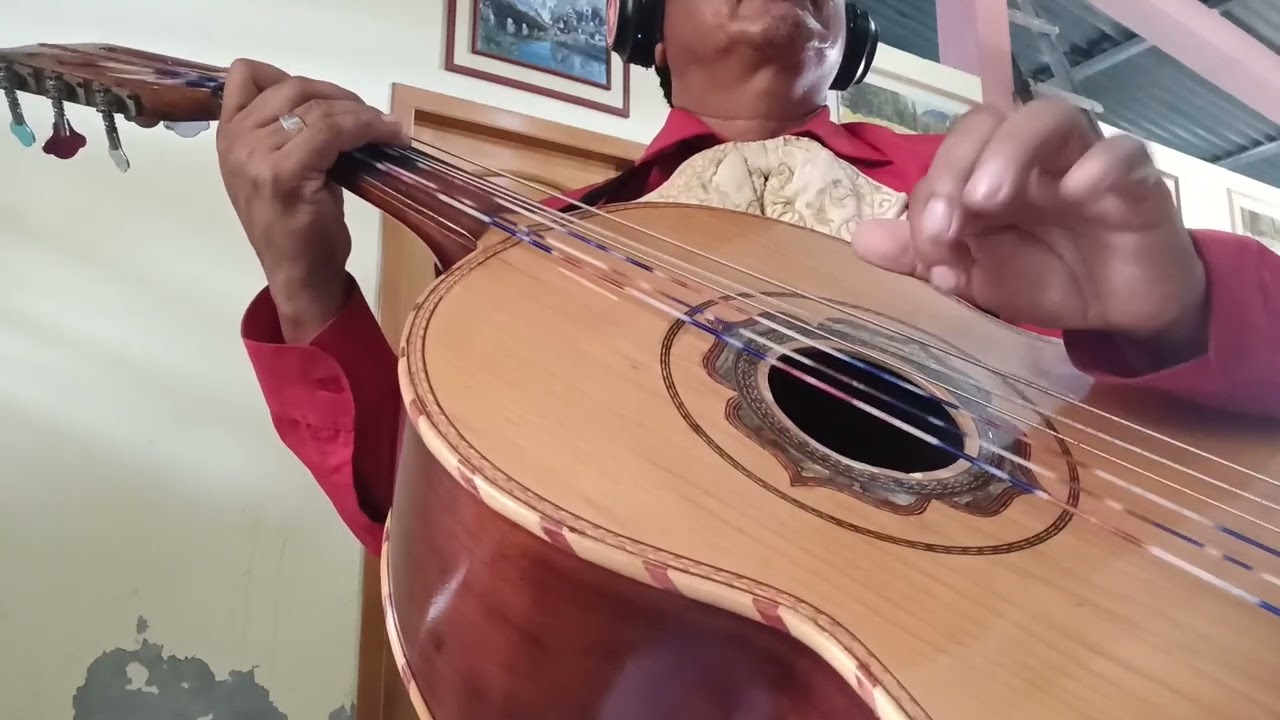 A PESAR DE TODO -guitarron