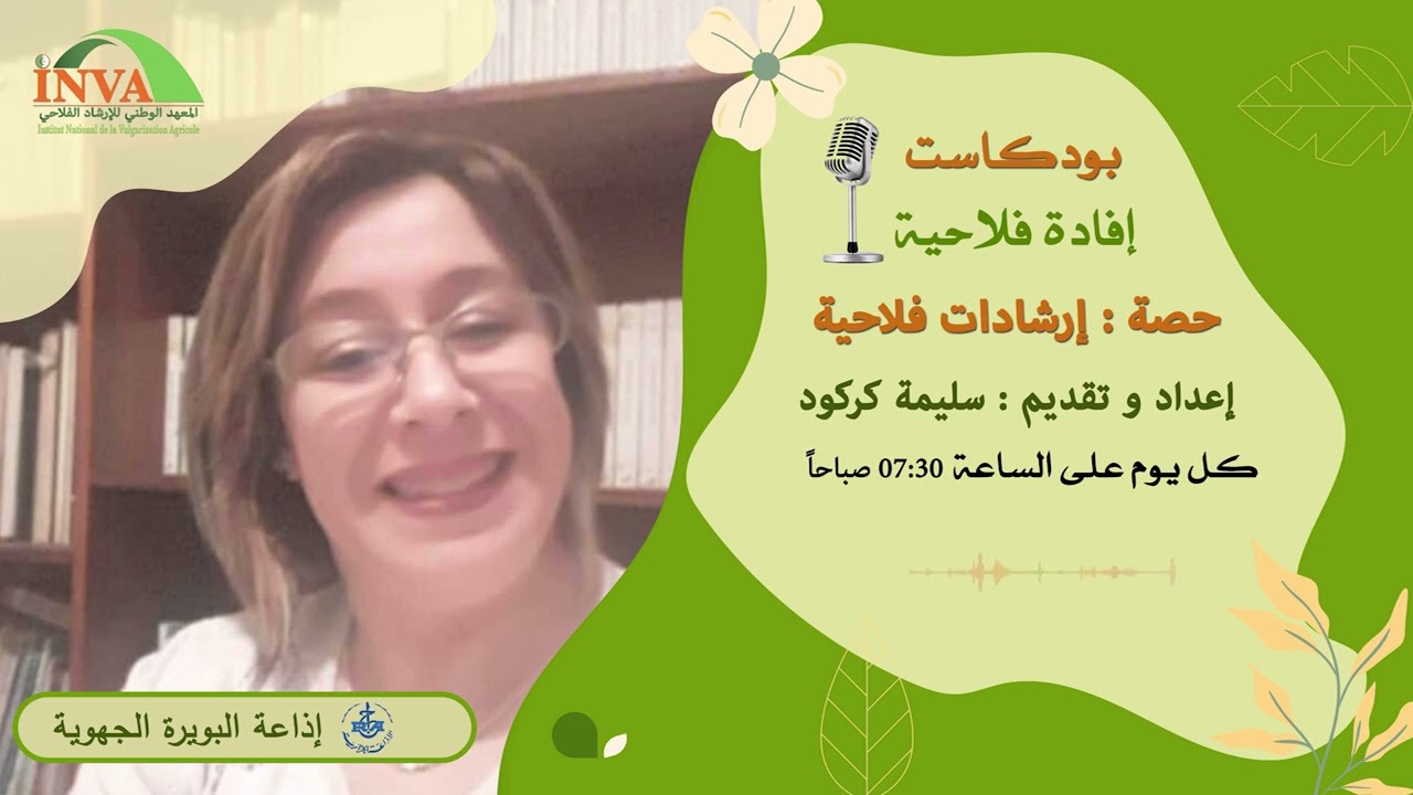 قرض 