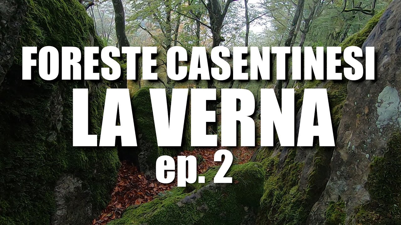 La magia della foresta sul Monte Penna e La Verna tour alla ricerca del silenzio - ep.2
