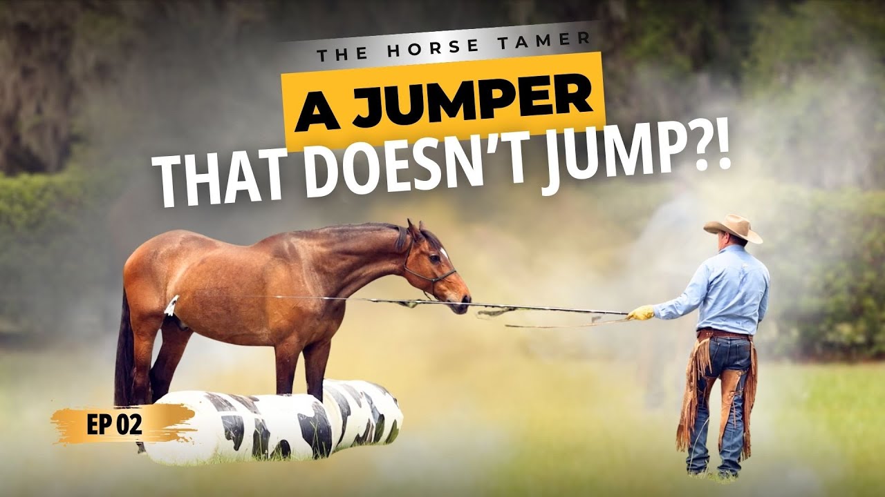 Why Pressure Makes Jumping Worse | Ep. 2 The Horse Tamer (Candice & Harley)