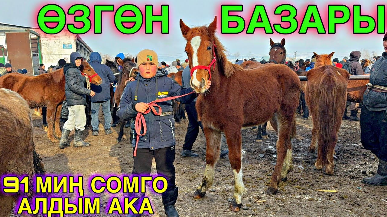БЭЭ БАЙТАЛ КУЛУН ТАЙ БААЛАРЫ 🤯 #байтв 