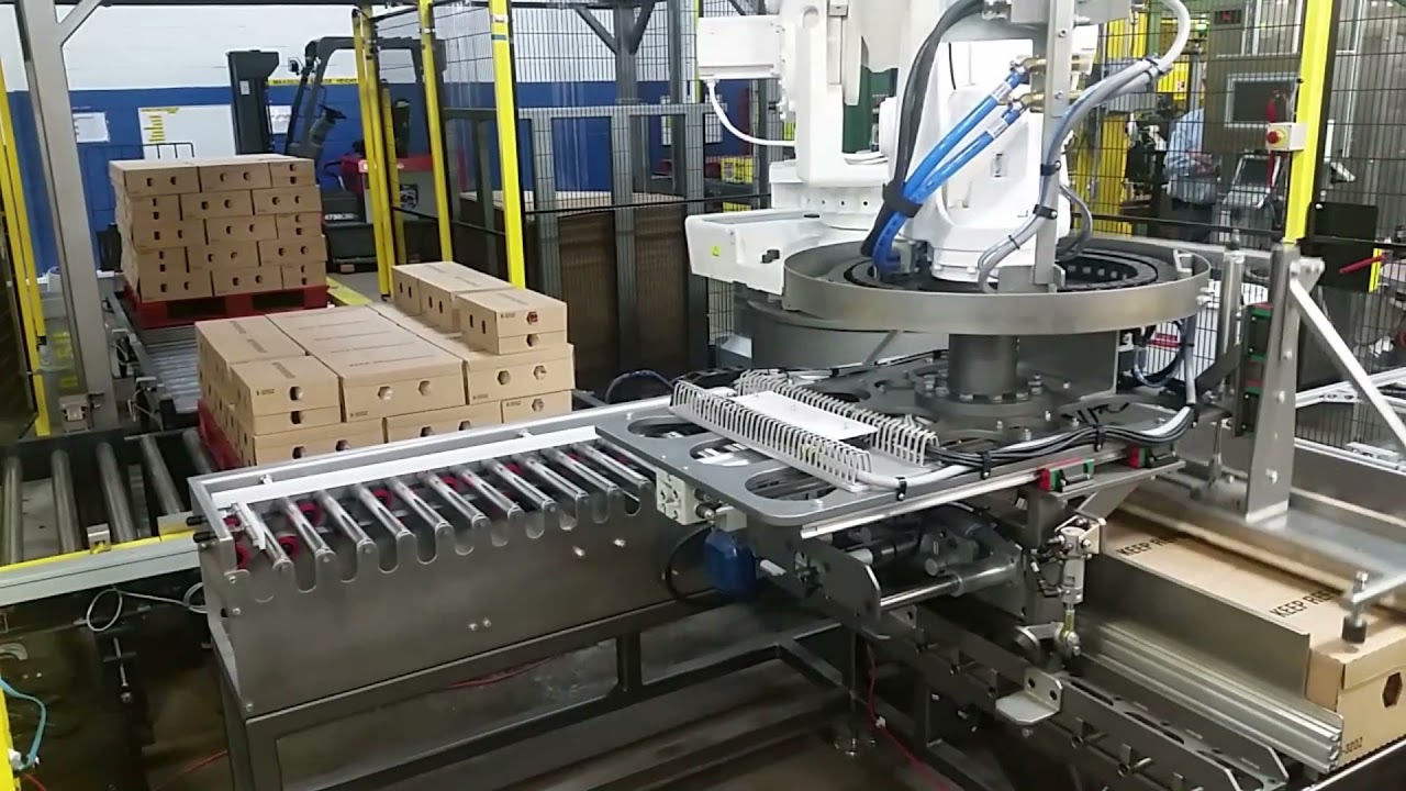 PALLETIZER YOGURT 01