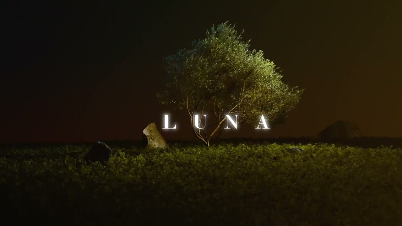LUNA - DJ SA (AFRO HOUSE)