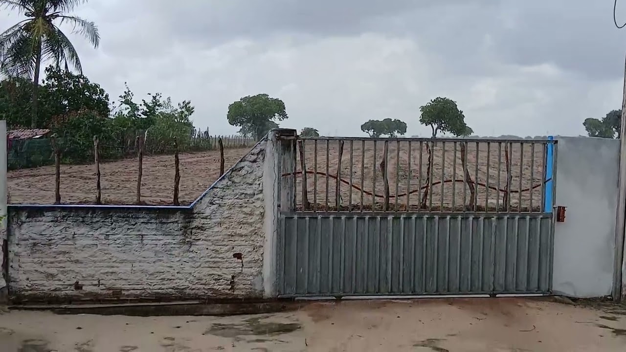 E o vídeo de hoje e mostrando a chuva ☔️ ☔️ ☔️ no sítio cajueiro Lagoa salgada RN 
