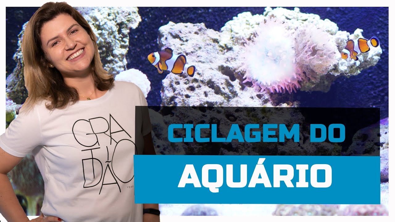 Ciclagem do Aquário