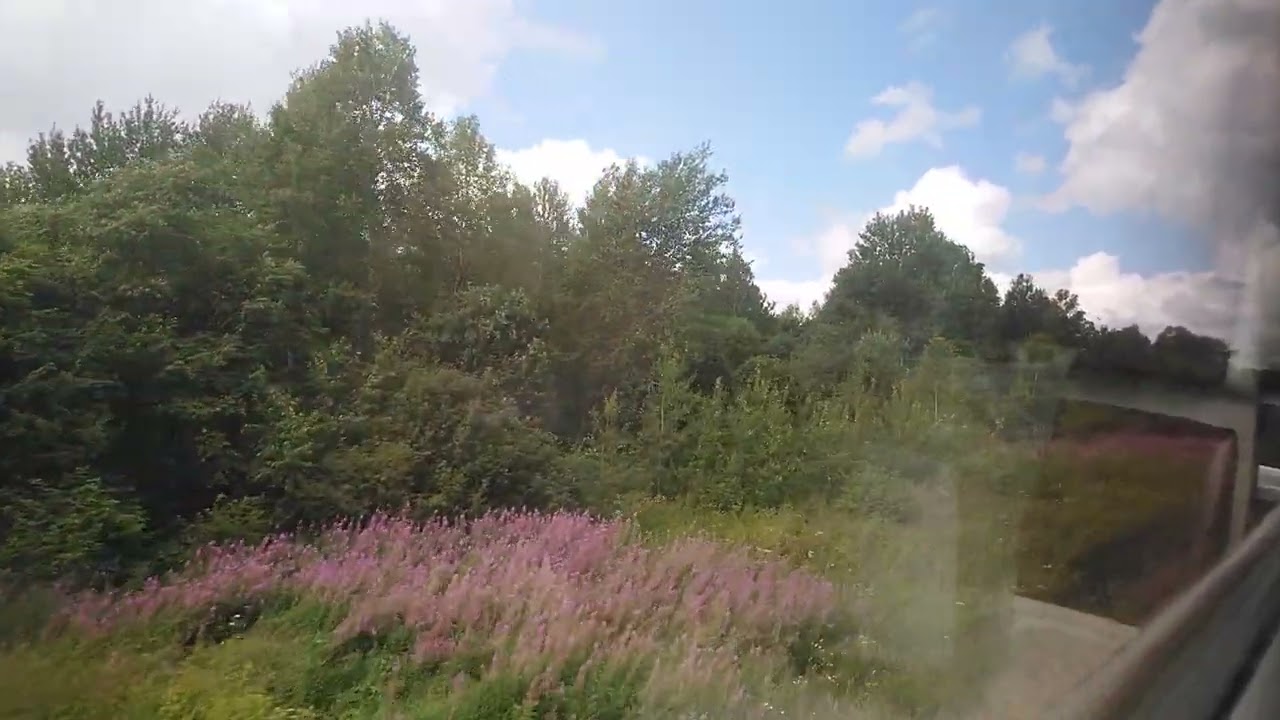 Отправление со ст. Ельня (Мск. ж.д.)