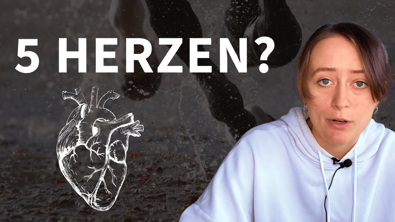 Wie der Huf dem Pferd zur Höchstleistung verhilft 🚀