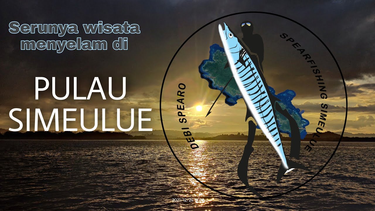 Wisata menyelam pulau simeulue | nembak ikan GT bluefin travelly kerapu sunu |spearfishing indonesia