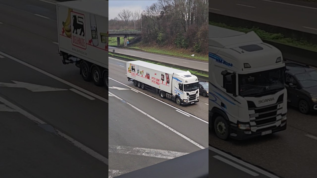 Scania truck with store goods!📦 #scania #scaniatruck #goods #eurotrucksimulator2 #highway #trucks
