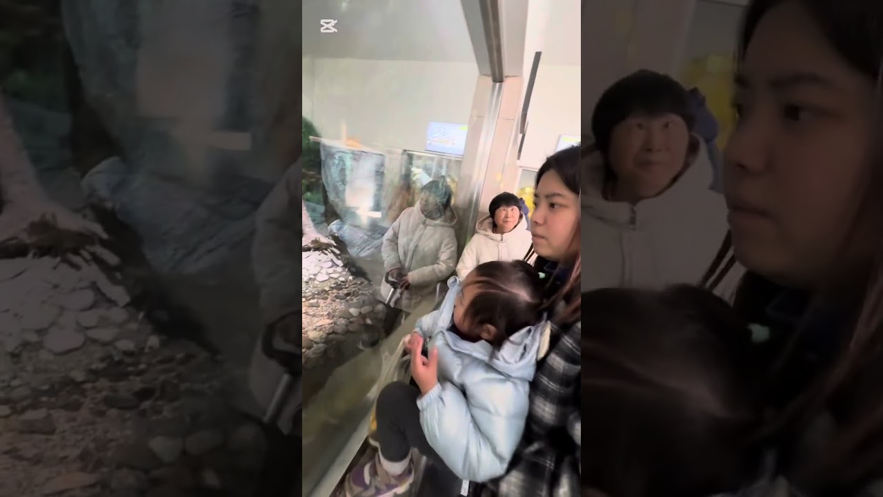 Now let’s take a look at the Chinese zoo. Part-125 🇨🇳 