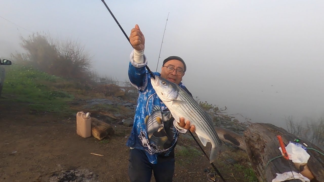 SACRAMENTO /DELTA/STRIPER FISHING REPORT/SHERMAN/SLAND/CA