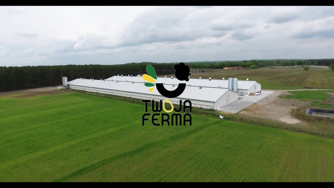 Ferma indyków - odchowalnia, budowa, wyposażenie, wentylacja, karmidła, linie pojenia