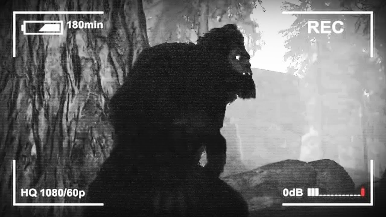 Ten BIGFOOT jest Przebiegły!