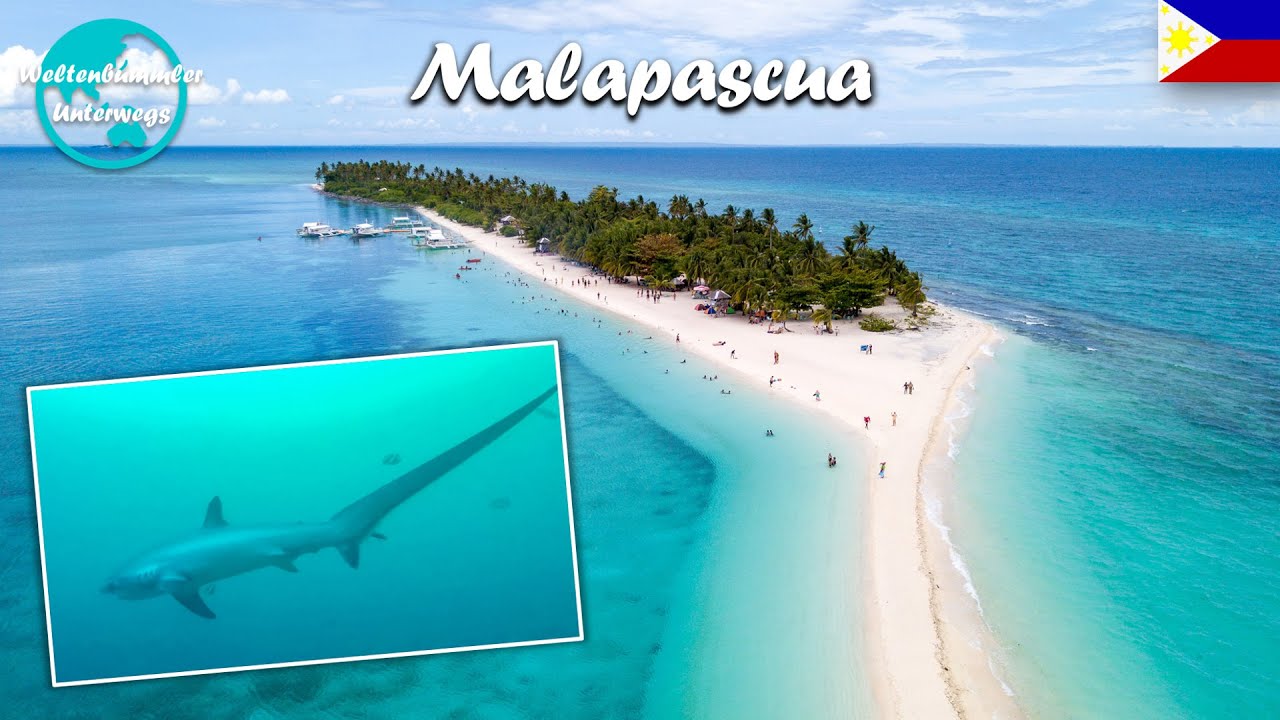 Unser Hai-light ∙ Die majestätischen Fuchshaie von Malapascua ∙ Philippinen ∙ Weltreise Vlog #92
