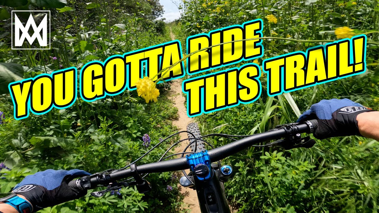 Emerald Canyon Road | FULL PULL | Laguna Canyon | Crystal Cove | EMTB | MTB | Specialized Turbo Levo