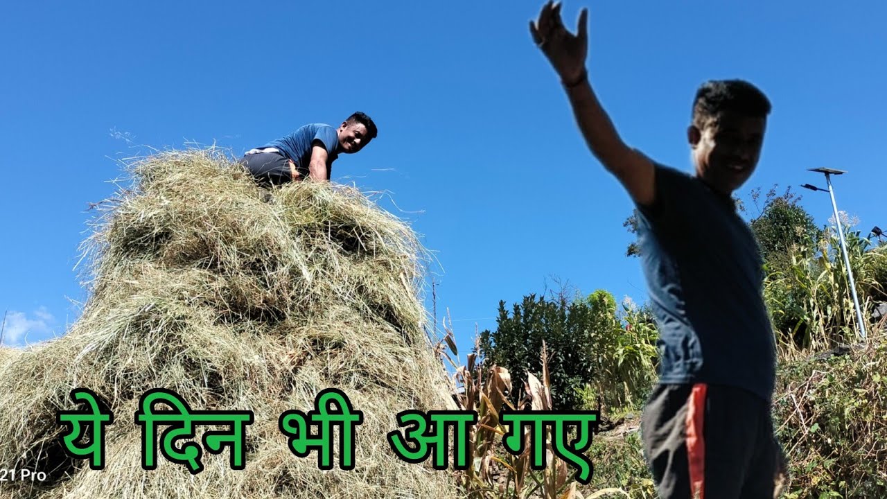 मैडम की अनुपस्थिति में मजदूरी करना पड़ा ||  Namik Glacier Trek 