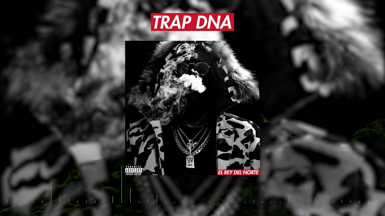 Tali Goya - Trap DNA (Official Audio)