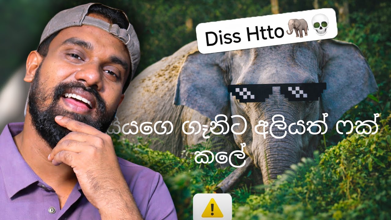 ඩිස්කෙ අම්මට ඩිස්කෙ ඩිස්කාඩි!