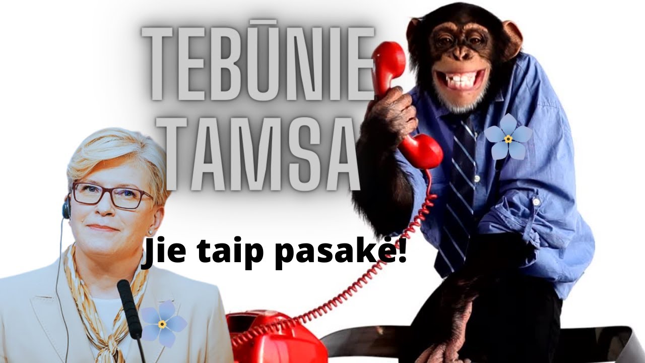 Konservatoriai Briuselio direktyvą dėl elektros i&scaron;romijo| N.Vasiliauskaitė: ten para&scaron;yta prie&scaron;ingai!