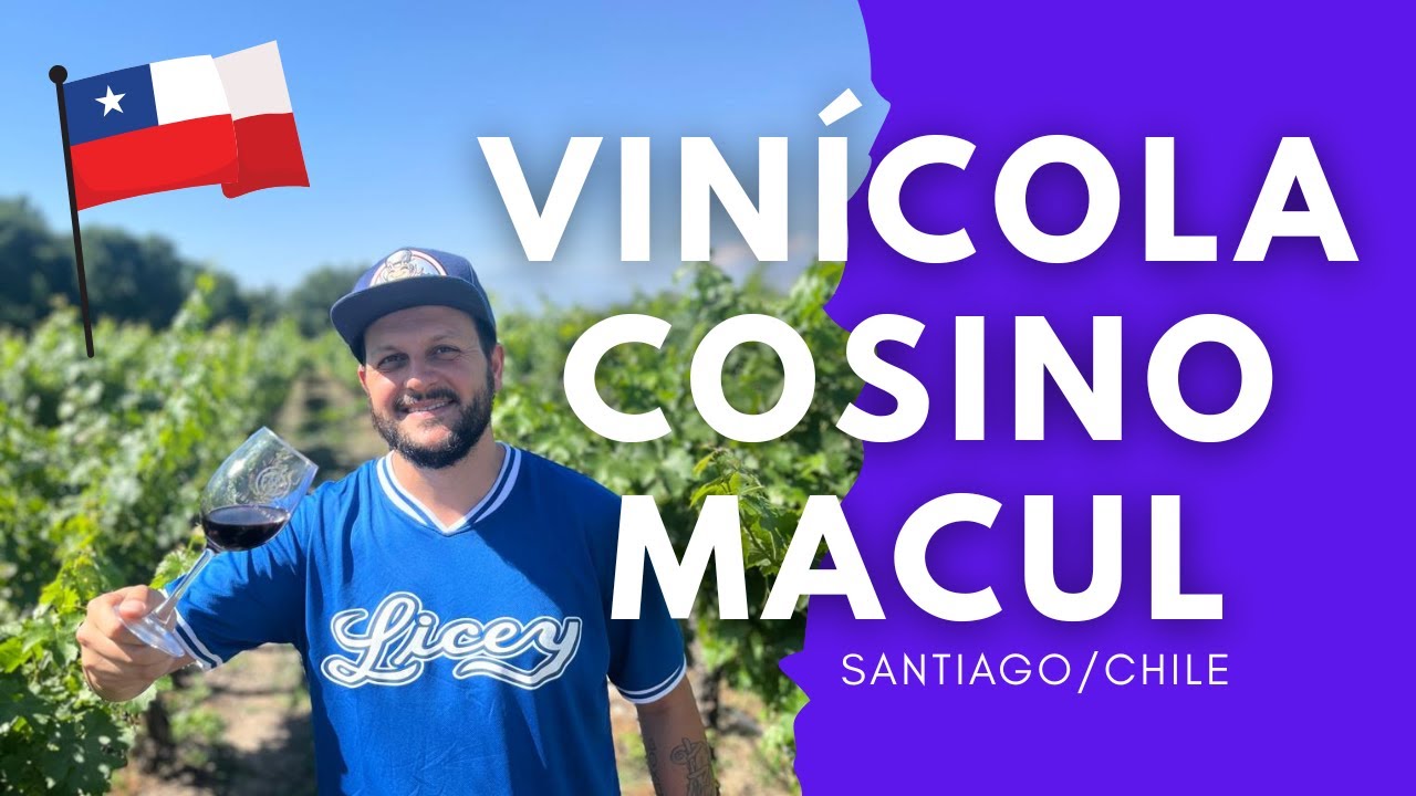 Vinícola Cousiño Macul: vale a pena visitar? Mostrei tudo do tour guiado!