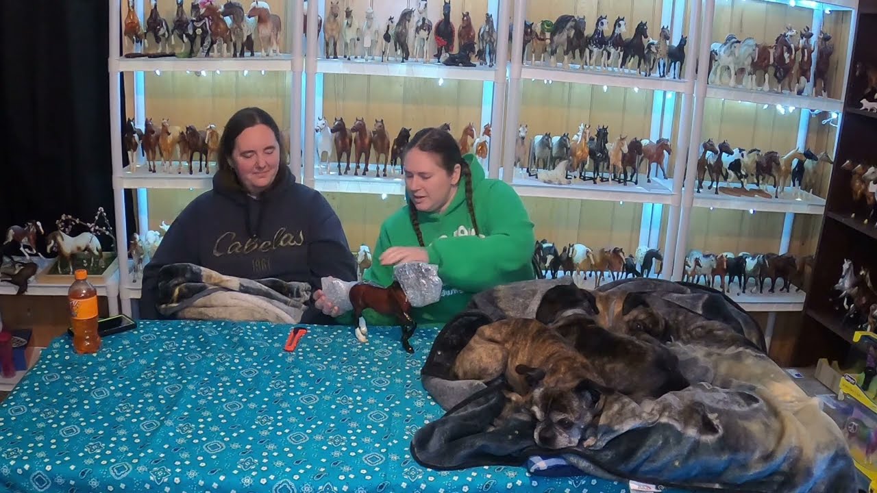 Bolero Breyer Collectors Club Unboxing