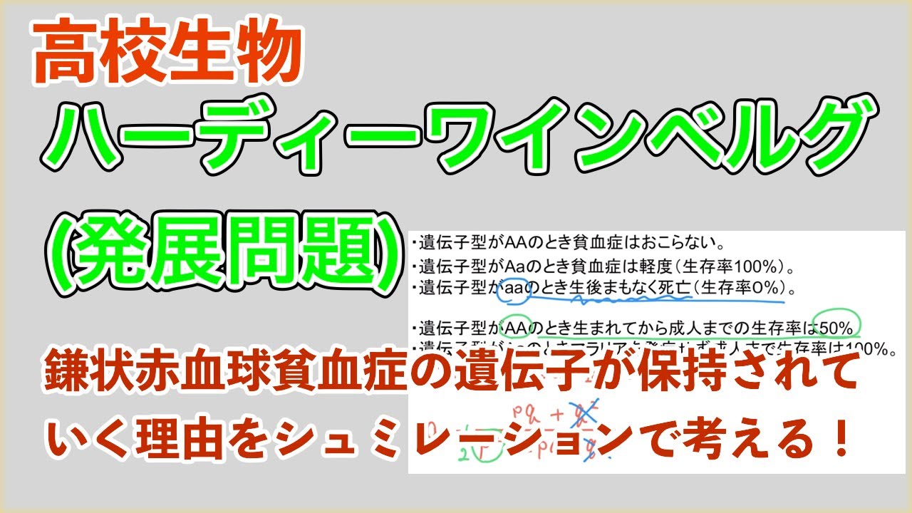 高校生物「ハーディーワインベルグの法則（発展問題）」