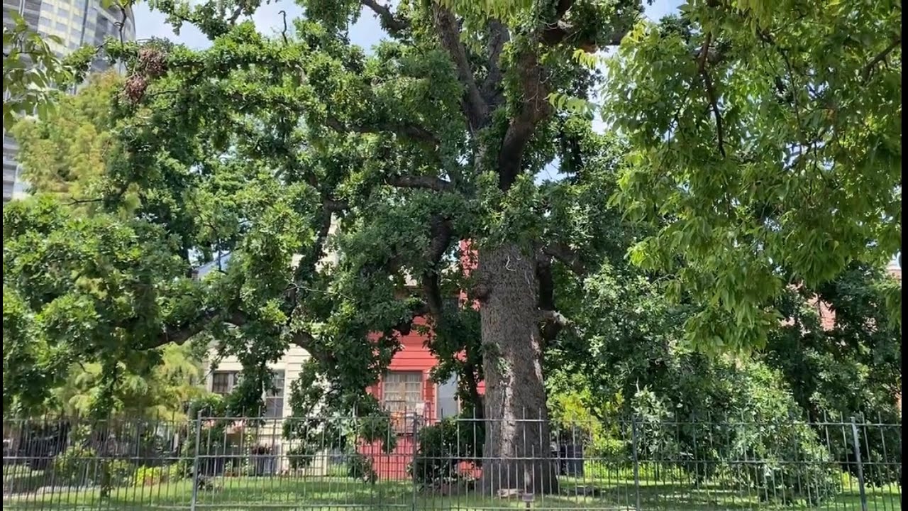 The History of Riverview is the History of Tulsa