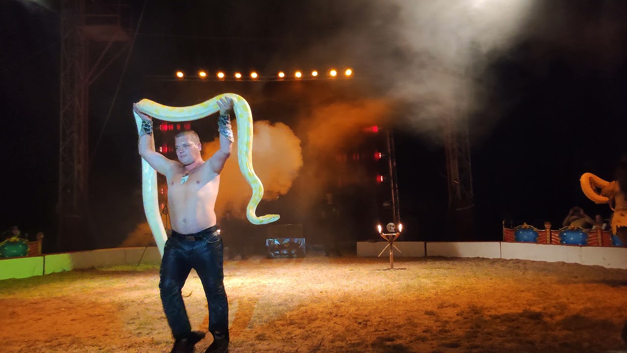 Cirkus Aleš 2021 - pokaz zwierząt egzotycznych